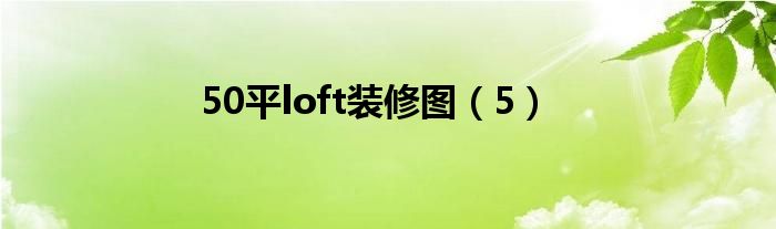 50平loft装修图（5）