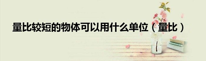 量比较短的物体可以用什么单位（量比）