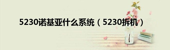 5230诺基亚什么系统（5230拆机）