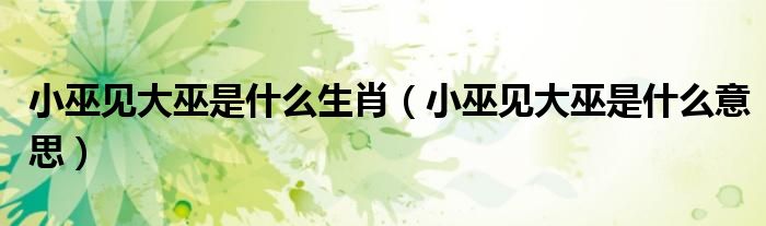 小巫见大巫是什么生肖（小巫见大巫是什么意思）