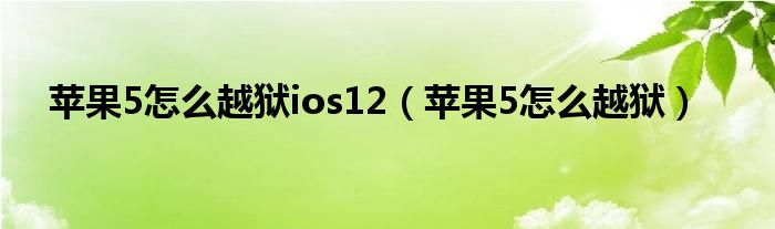 苹果5怎么越狱ios12（苹果5怎么越狱）
