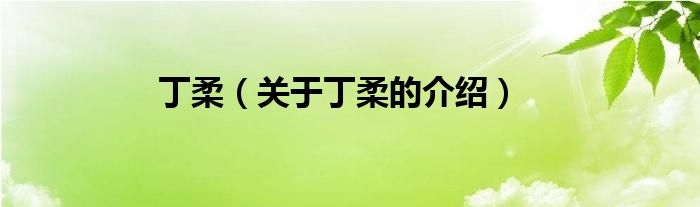 丁柔（关于丁柔的介绍）