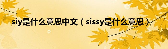 siy是什么意思中文（sissy是什么意思）
