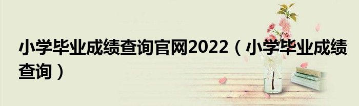 小学毕业成绩查询官网2022（小学毕业成绩查询）