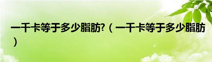 一千卡等于多少脂肪?（一千卡等于多少脂肪）