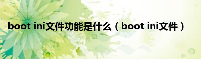 boot ini文件功能是什么（boot ini文件）