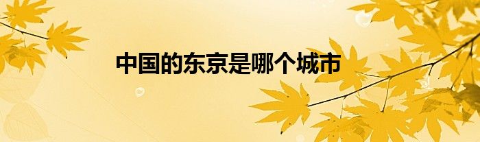 中国的东京是哪个城市